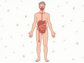 Signs and symptoms of caloric deficit illustrated on human body