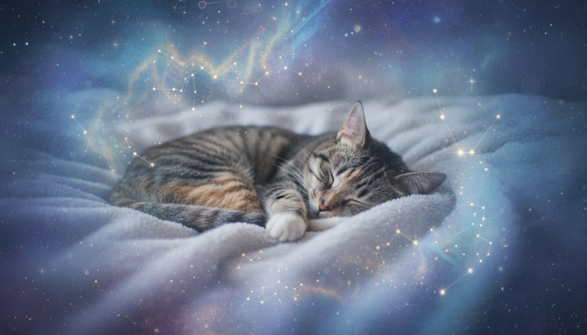 Fazy snu: 7 brutalnych prawd, które zmienią twój sen na zawsze