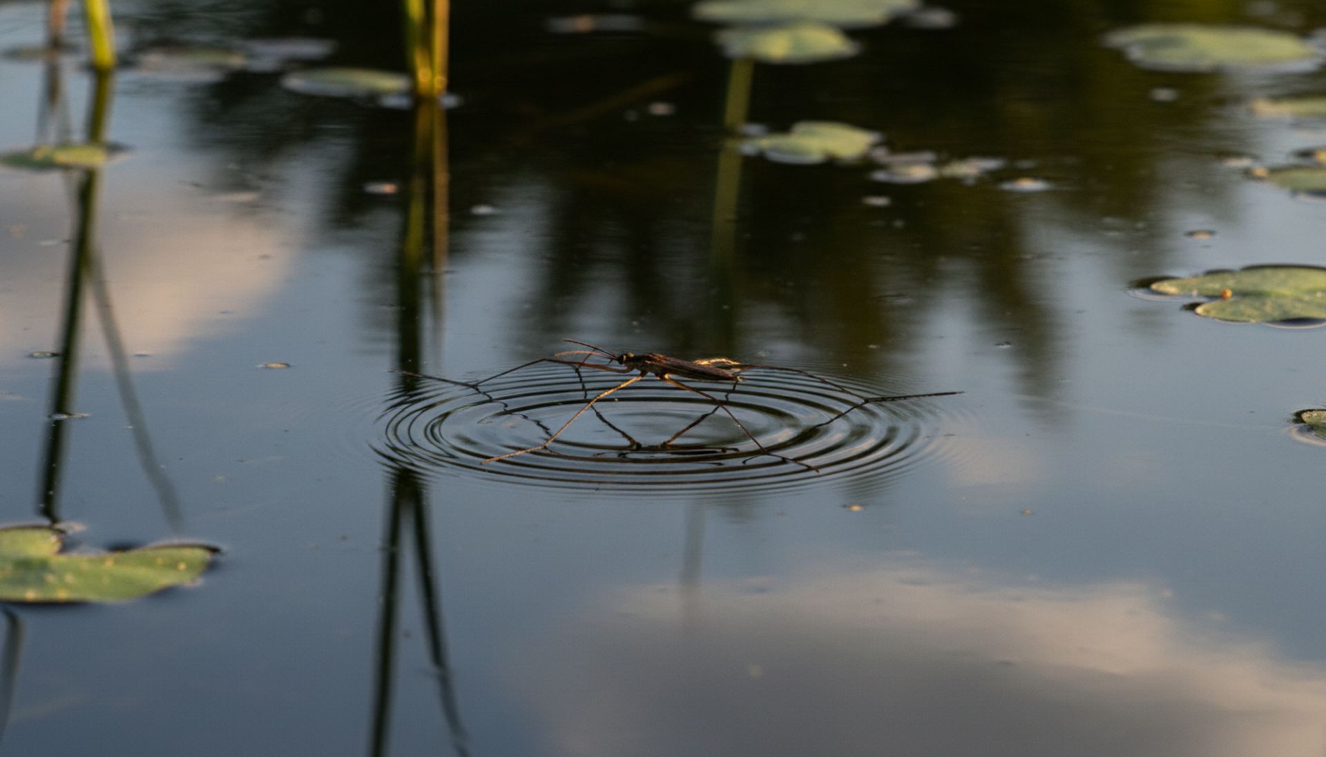 Głodówka wodna: brutalne prawdy, mity i nieoczywiste skutki