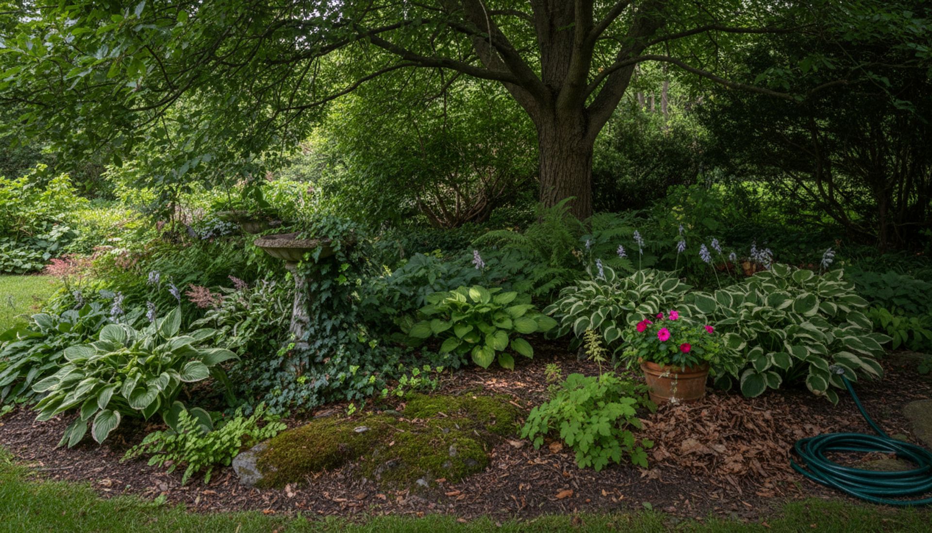 Jak pielęgnować ogród w cieniu: nowa era roślinnych buntowników