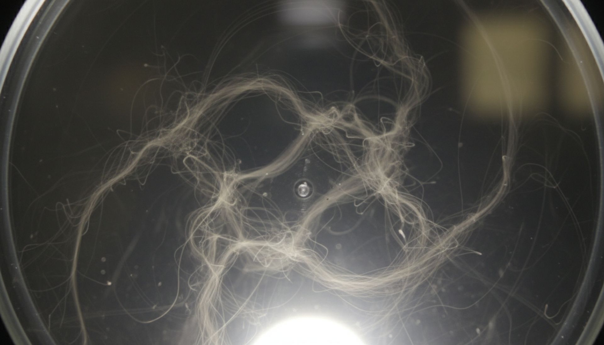 Kapnografia: brutalne prawdy, które zmieniają życie pacjentów