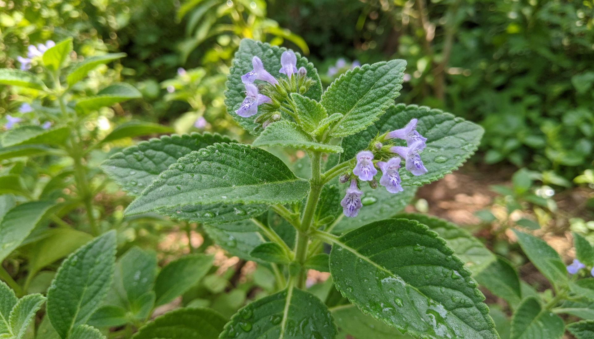 Sen REM: 11 szokujących prawd, które zmienią twoje noce
