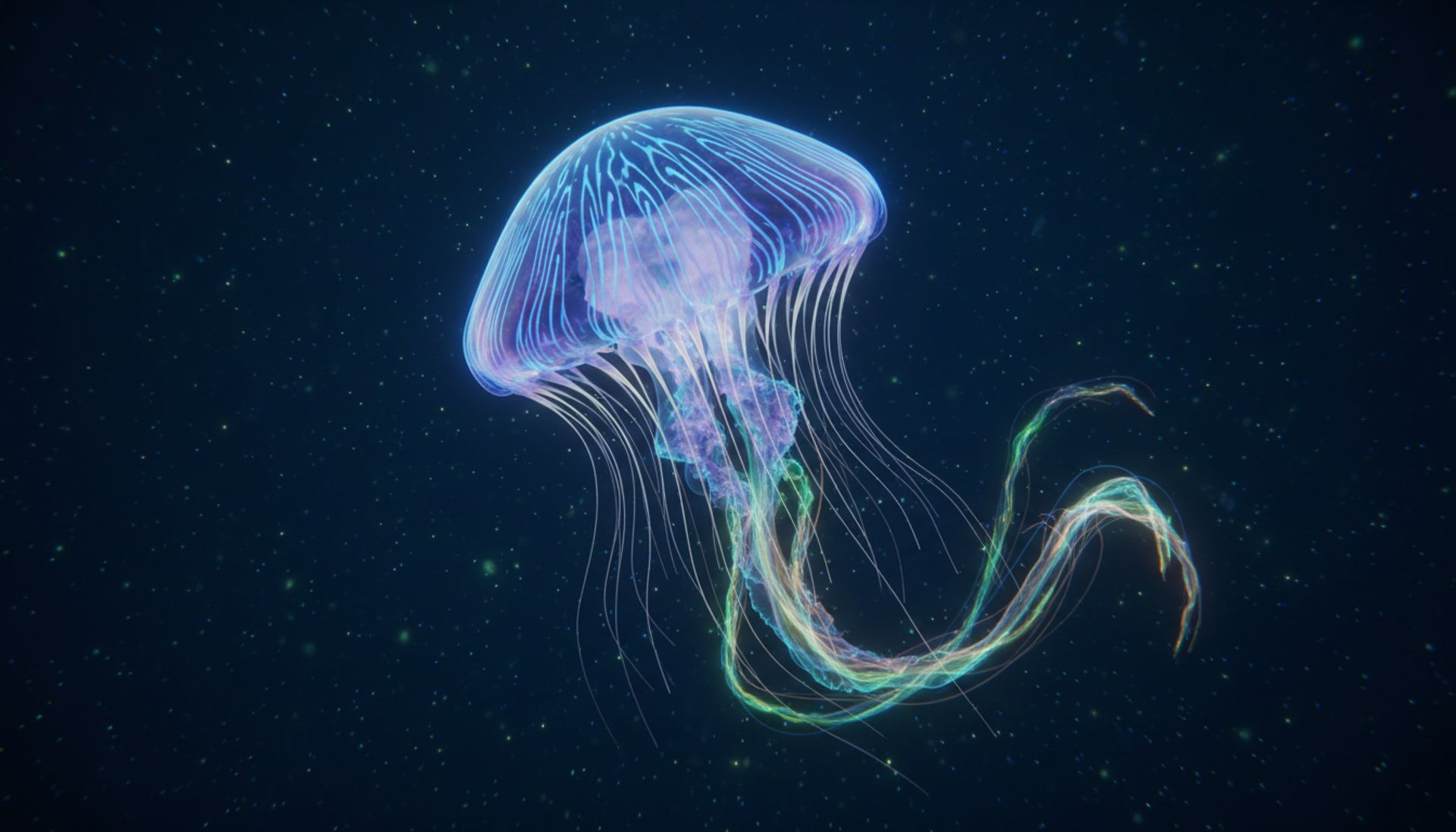 Ultradźwięki: fakty, mity i niewygodne prawdy z drugiej strony lustra