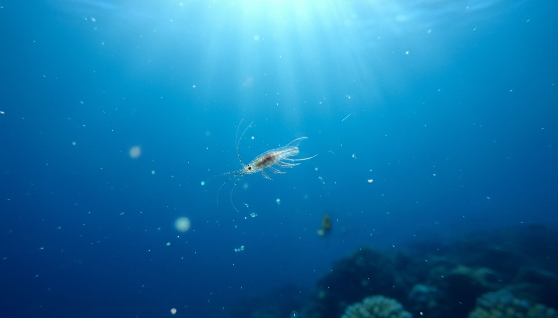 Złość: 7 brutalnych prawd, które musisz znać, żeby przestać nią rządzić (albo... ją ujarzmić)