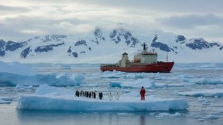 Antarctic Movies, Fact Vs Fiction: the 21 Films That Matter