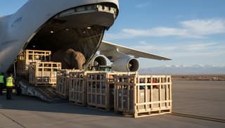 Animal Transport Flights: What the Airlines Won’t Tell You