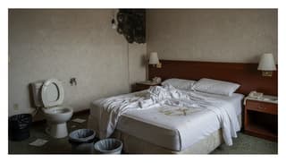 Would You Trust These Hotel Reviews? the Shocking Reality Behind the Stars
