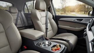 The Dirty Secrets Behind Pet Car Features Nobody Tells You