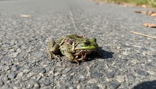 Czy rana tłuczona to wyrok? Odkrywamy niewygodne prawdy