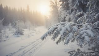 The Snow Mode Myth: Would You Trust Your Life to a Button?