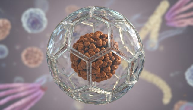 Ferrytyna: brutalna prawda o trendzie, który podbija sieć