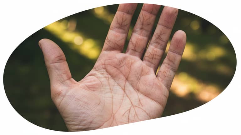Chiromancja znaczenie linii: wiara, psychologia czy autoanaliza?