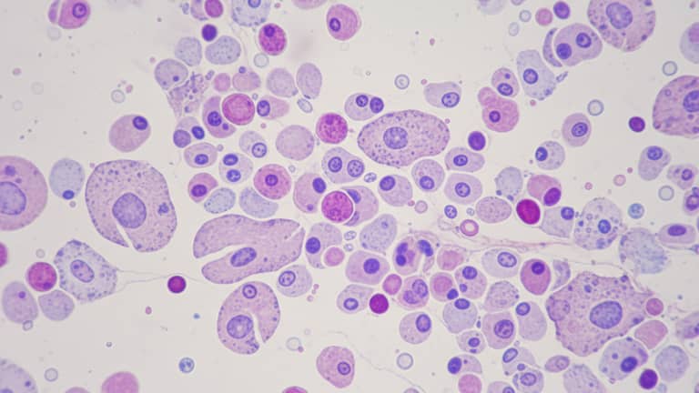 Cytologia dziś i jutro: ile naprawdę chroni przed rakiem?