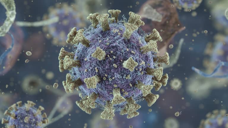 Cytomegalowirus – najgroźniejsza infekcja, o której milczy system