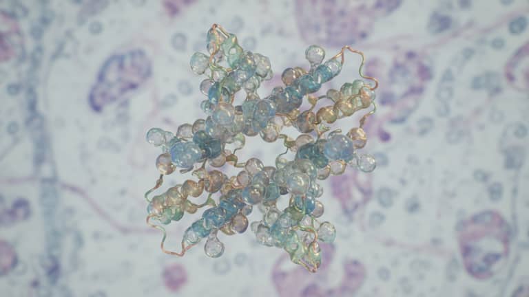 Immunoglobuliny między życiem a rynkiem – fakty, mity, koszty