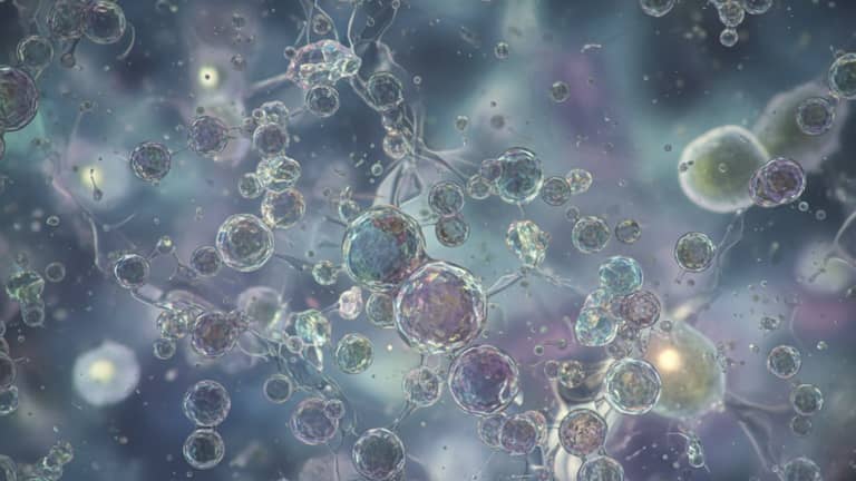 Nanocząstki w Polsce: między medyczną nadzieją a cichym ryzykiem