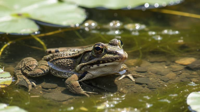 Rana cięta bez mitów – pierwsza pomoc, gojenie, blizny