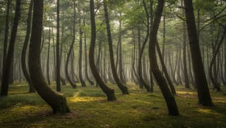 Ciekawostki o polskich miejscowościach: fascynujące fakty i historie