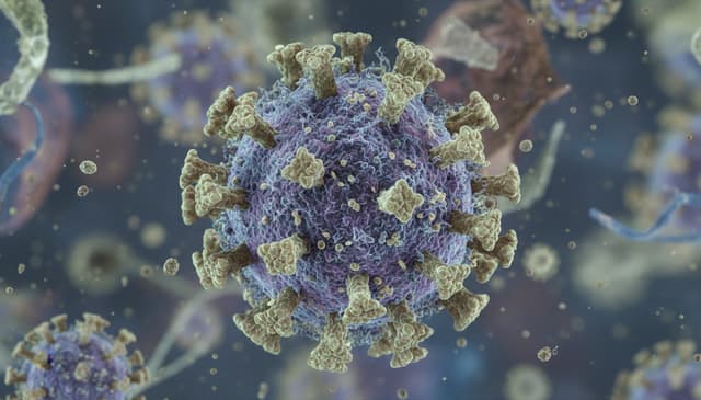 Cytomegalowirus: kompleksowy przewodnik po zakażeniu i leczeniu