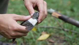 Czy mogę sam pomóc zwierzęciu w nagłym przypadku: praktyczny przewodnik