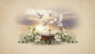 Digital funeral announcements: how they are changing modern memorials