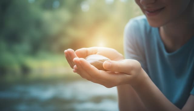 Emotionale Unterstützung und Stressabbau: ein Praktischer Guide