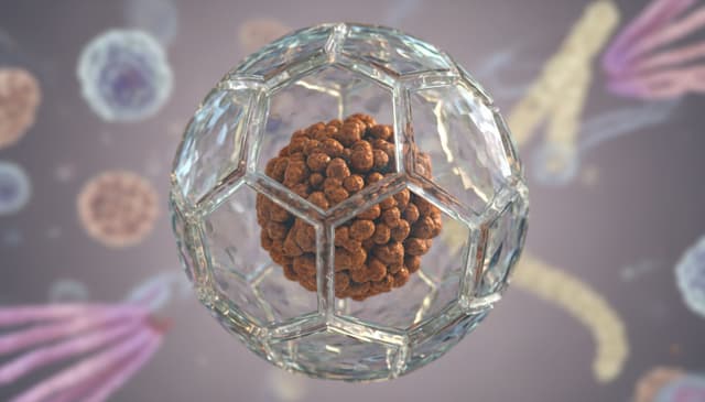 Ferrytyna: co warto wiedzieć o jej roli w organizmie