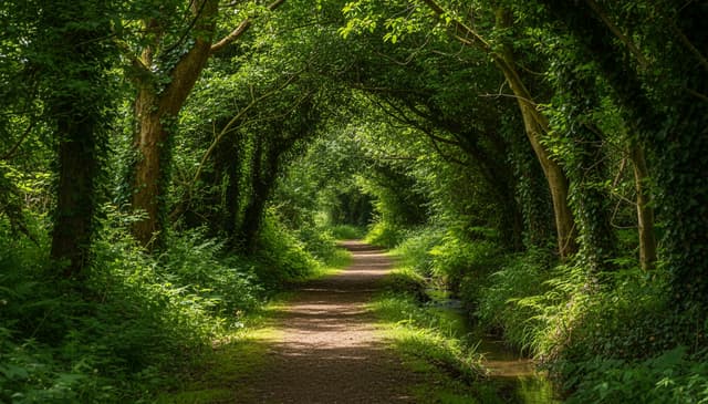 Green Lane: How Future Flights Streamline Air Travel Processes