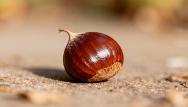 Guzek w piersi: przyczyny, diagnostyka i leczenie