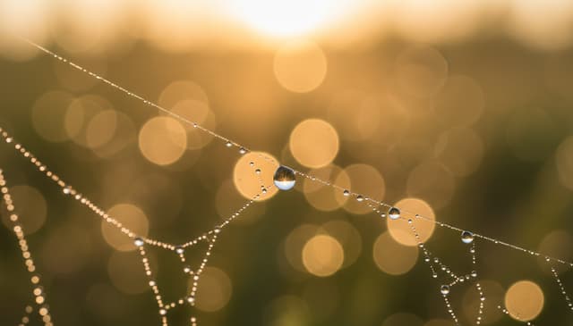 Jak projektować bez tradycyjnych narzędzi graficznych: praktyczny przewodnik