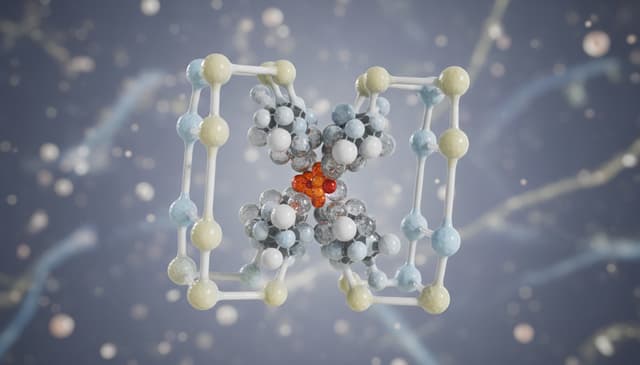 Kalprotektyna w diagnostyce chorób zapalnych jelit: praktyczny przewodnik