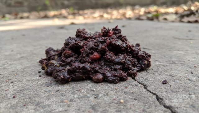 Krwawe wymioty: przyczyny, diagnostyka i postępowanie medyczne