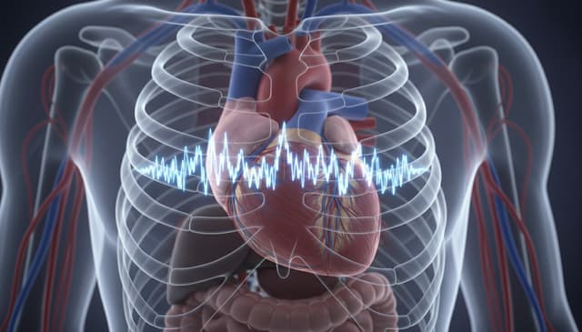 Migotanie przedsionków: przyczyny, objawy i metody leczenia