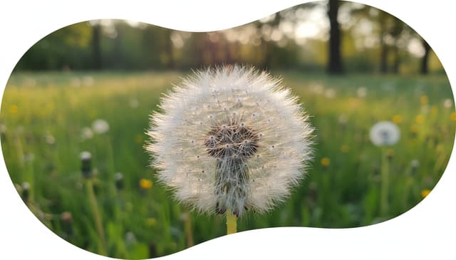 Mniszek lekarski: naturalne wsparcie dla zdrowia i urody