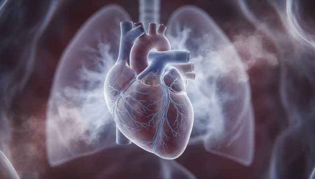 Nadciśnienie płucne: kompleksowy przewodnik dla pacjentów i lekarzy