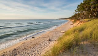 Najpiękniejsze plaże nad Bałtykiem: przewodnik po najlepszych miejscach