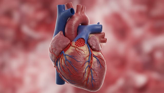 Proces pierwotny w psychologii: zrozumieć podstawy działania umysłu