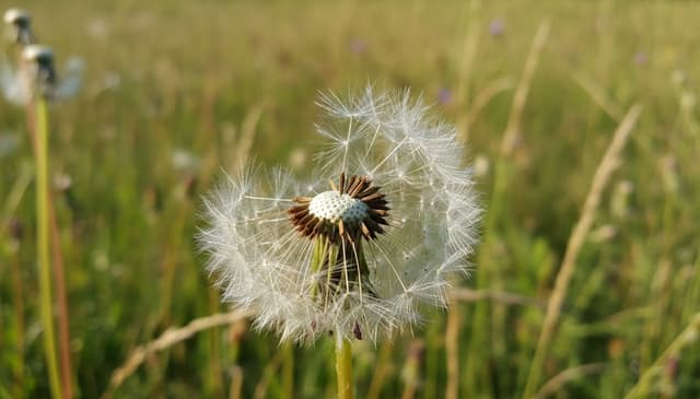 Przekwitanie: czym jest i jak łagodzić jego objawy?
