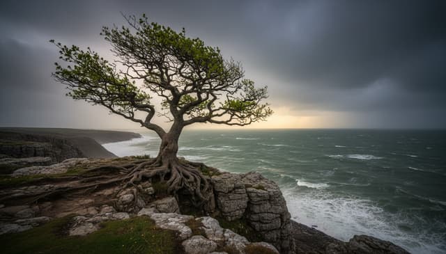 Psychische Resilienz Stärken: Praxisnaher Leitfaden für Mehr Innere Stärke