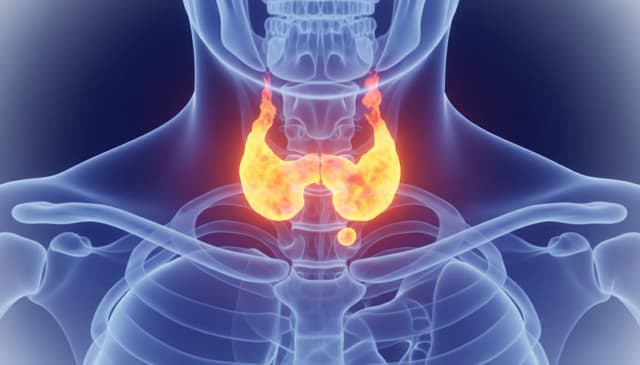 Scyntygrafia tarczycy: jak przebiega i kiedy warto ją wykonać