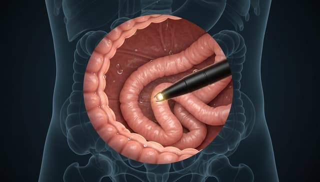 Sigmoidoskopia: praktyczny przewodnik po badaniu jelita grubego