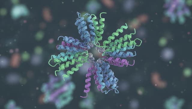 Transferyna: rola i znaczenie w organizmie człowieka