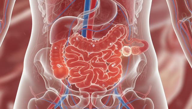 Zapalenie przydatków: objawy, przyczyny i skuteczne leczenie