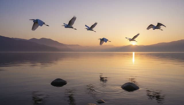 Zen Flights: Exploring the Future of Peaceful Air Travel