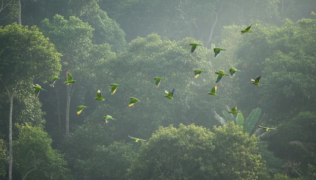 Zielone loty: co jest realną redukcją, a co eko-narracją