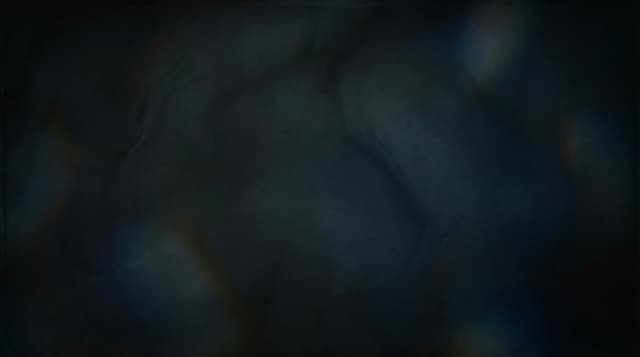 Domain finder with logo and landing page