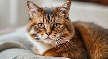 Opowiedz co u Ciebie