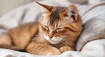 Wysłuchaj zmartwień