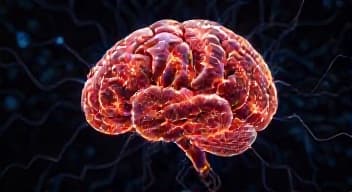 Odkrywaj świadomość