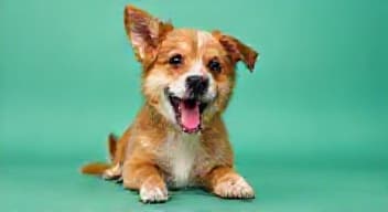 Posłuchaj o moim dniu